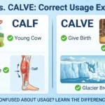 calf or calve