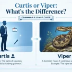 curtis or viper
