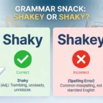 shakey or shaky