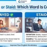 stayed or staid