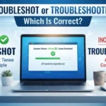 troubleshot or troubleshooted