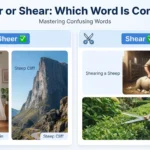 sheer or shear