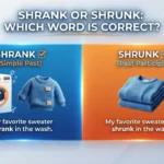 shrank or shrunk