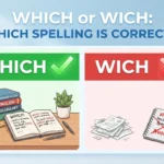 which or wich